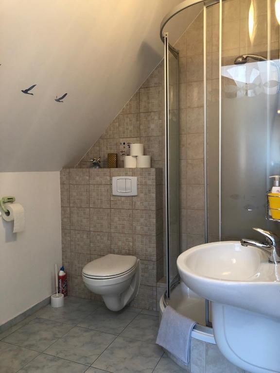 Апартаменты Apartamenty Beata w Sasinie Сашино